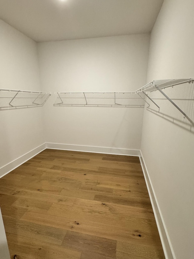 walk in closet with wood finished floors