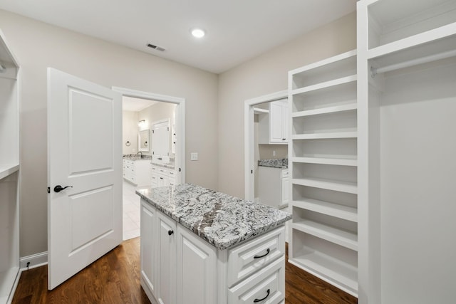 8020 Traditions Ln, Columbia, TN 38401 - walk in closet with visible vents and dark wood-type flooring