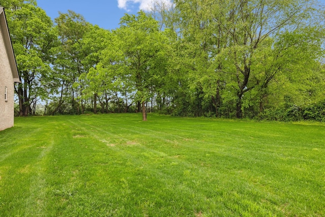 8020 Traditions Ln, Columbia, TN 38401 - view of yard