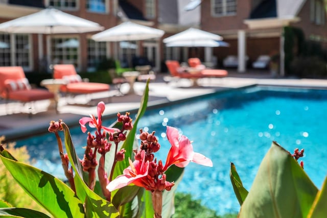 pool with a patio area