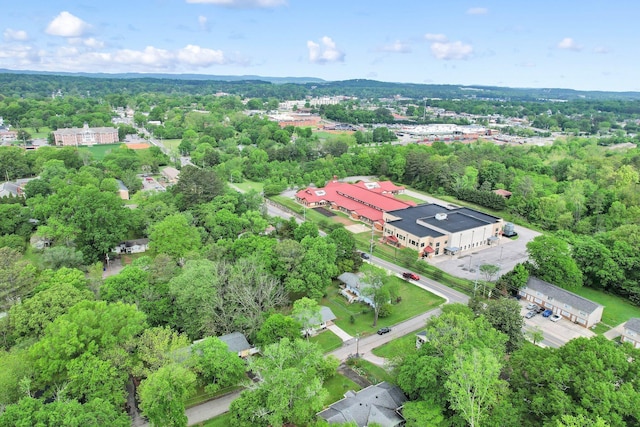 drone / aerial view