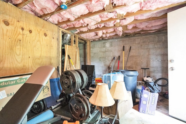 view of unfinished basement