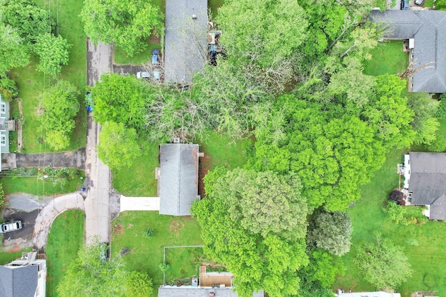 bird's eye view