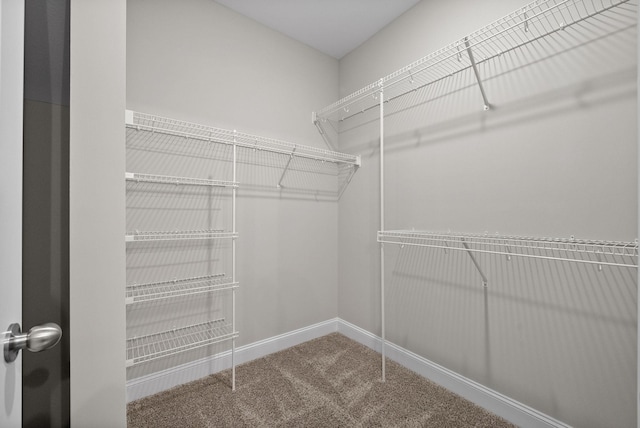 465 Herman Dr, Clarksville, TN 37042 - walk in closet with carpet