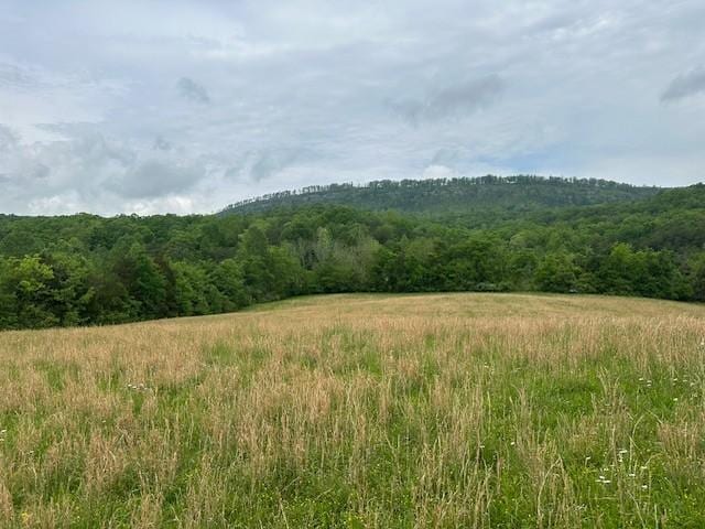 235 Allison Hill Rd, Pikeville, TN 37367 - photo 2