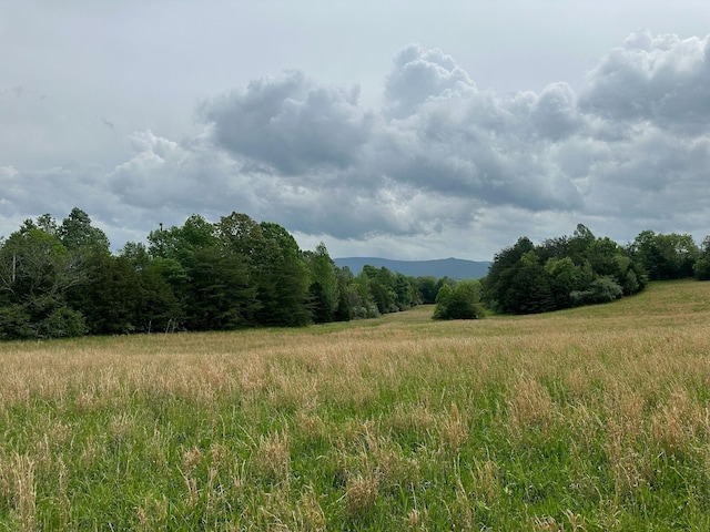 235 Allison Hill Rd, Pikeville, TN 37367 - photo 1