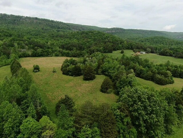 235 Allison Hill Rd, Pikeville, TN 37367 - photo 21