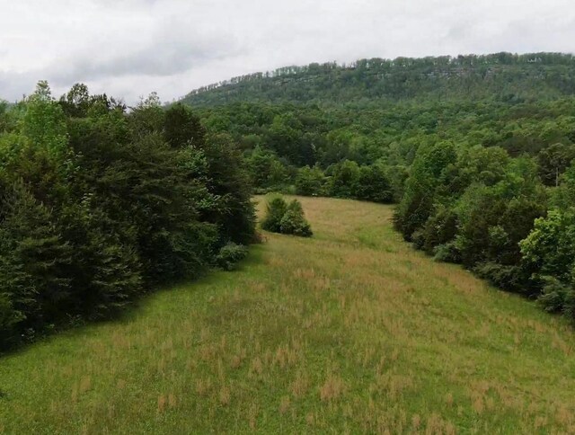 235 Allison Hill Rd, Pikeville, TN 37367 - photo 18