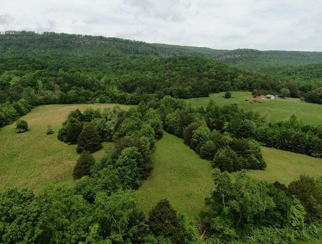 235 Allison Hill Rd, Pikeville, TN 37367 - photo 16