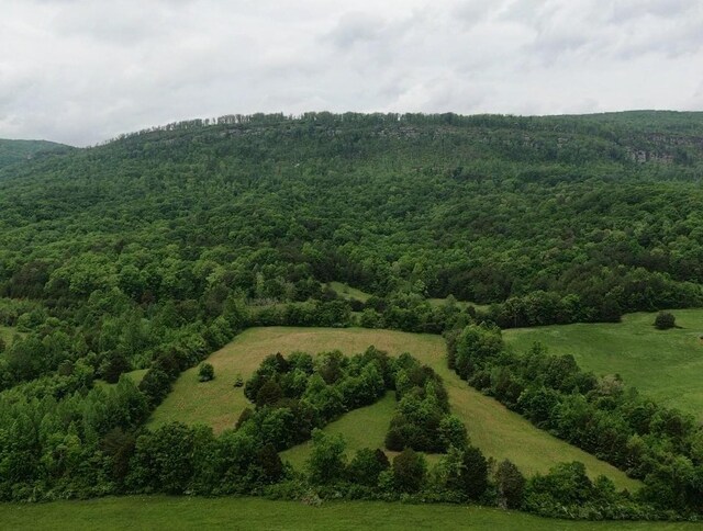 235 Allison Hill Rd, Pikeville, TN 37367 - photo 24