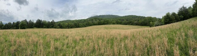 235 Allison Hill Rd, Pikeville, TN 37367 - photo 10