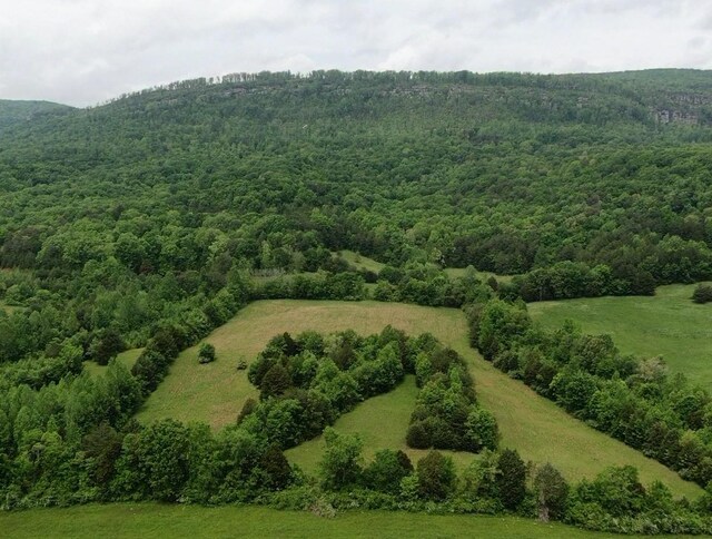 235 Allison Hill Rd, Pikeville, TN 37367 - photo 20