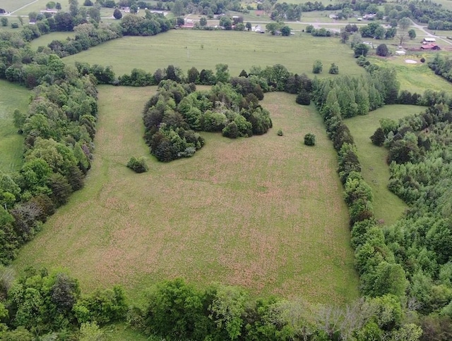 235 Allison Hill Rd, Pikeville, TN 37367 - photo 14