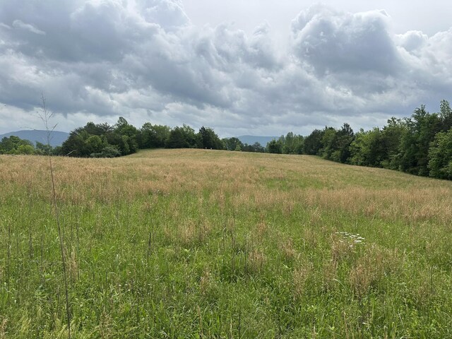 235 Allison Hill Rd, Pikeville, TN 37367 - photo 12
