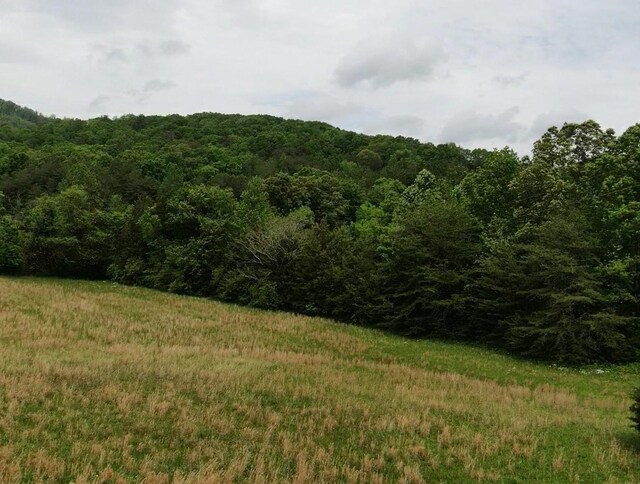 235 Allison Hill Rd, Pikeville, TN 37367 - photo 17