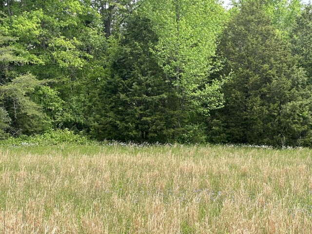 235 Allison Hill Rd, Pikeville, TN 37367 - photo 13