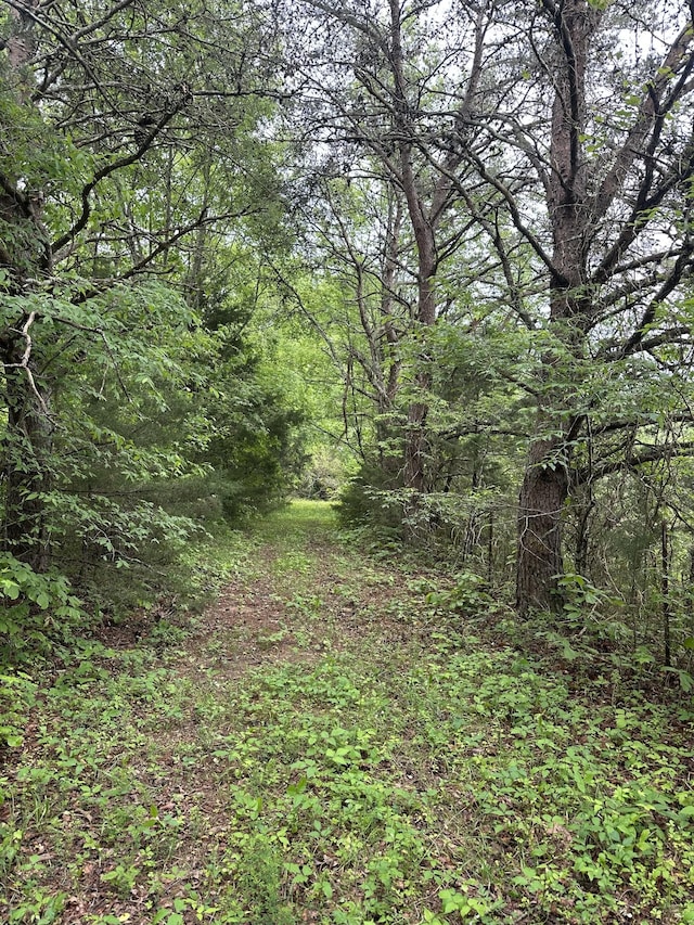 235 Allison Hill Rd, Pikeville, TN 37367 - photo 8