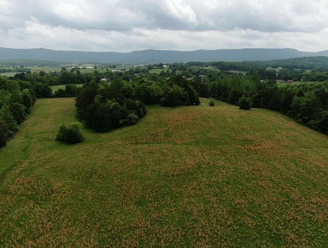235 Allison Hill Rd, Pikeville, TN 37367 - photo 26