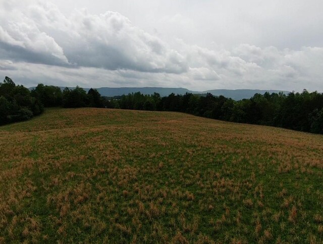 235 Allison Hill Rd, Pikeville, TN 37367 - photo 25
