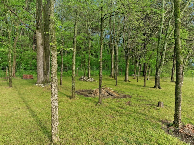 view of yard