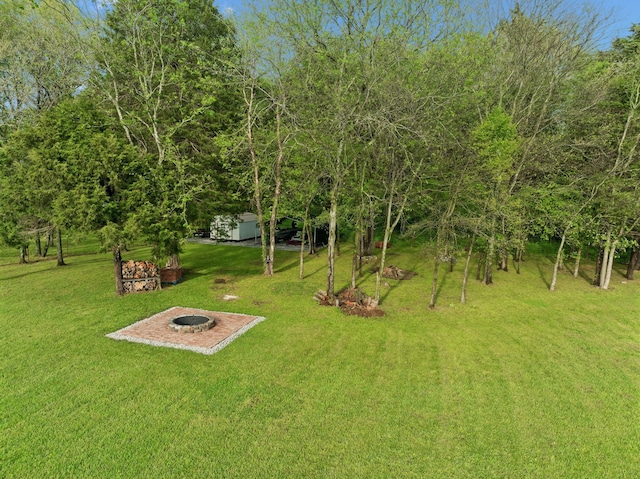 view of yard with an outdoor structure, a storage unit, and an outdoor fire pit