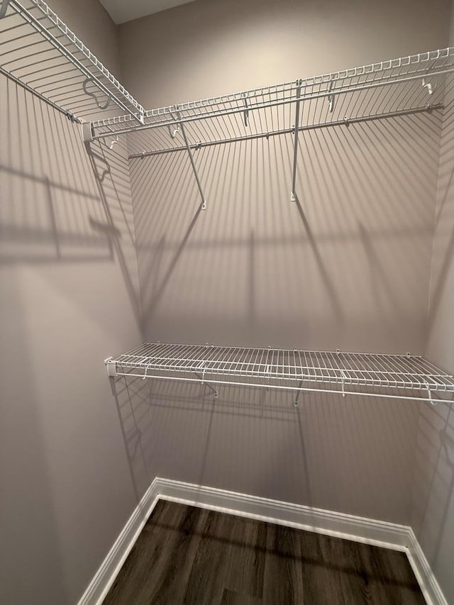 spacious closet with wood finished floors