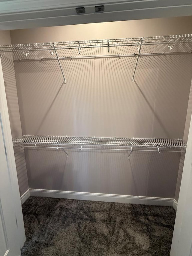 walk in closet with carpet