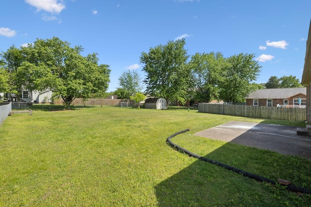 view of yard with a storage shed, a patio, and a fenced backyard