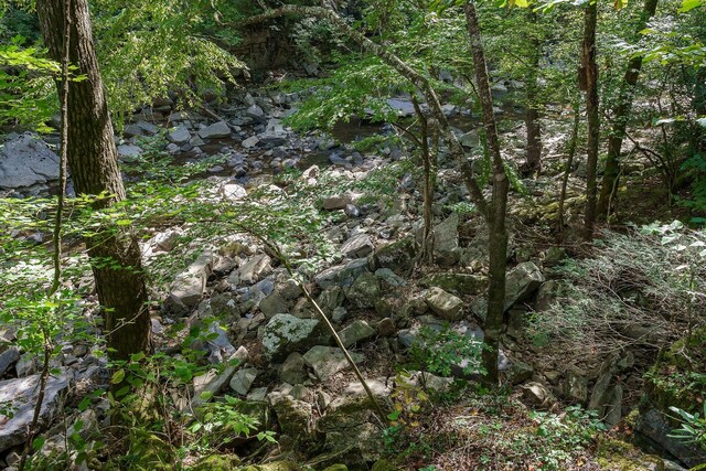 500 B Armstrong Ln, Monterey, TN 38574 - photo 60