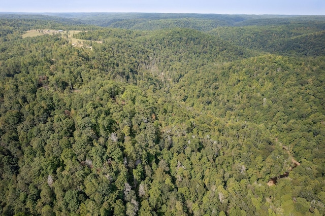 500 B Armstrong Ln, Monterey, TN 38574 - photo 38