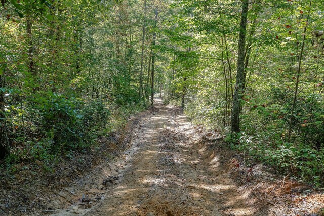 500 B Armstrong Ln, Monterey, TN 38574 - photo 53