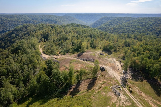500 B Armstrong Ln, Monterey, TN 38574 - photo 18