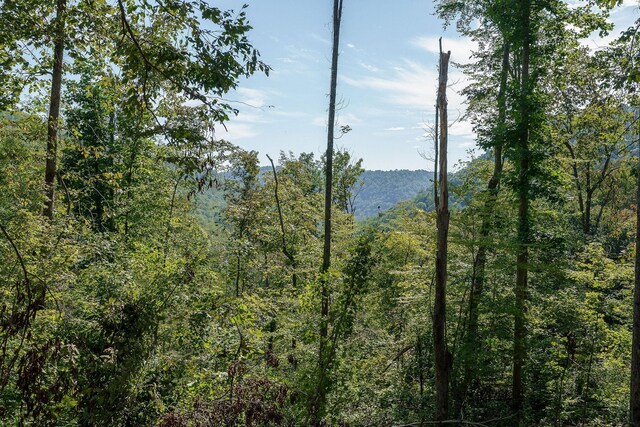 500 B Armstrong Ln, Monterey, TN 38574 - photo 57