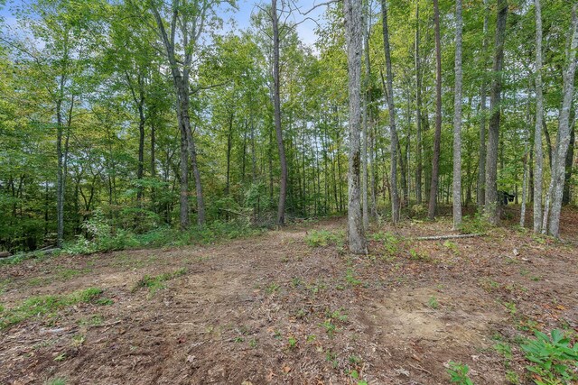 500 B Armstrong Ln, Monterey, TN 38574 - photo 69