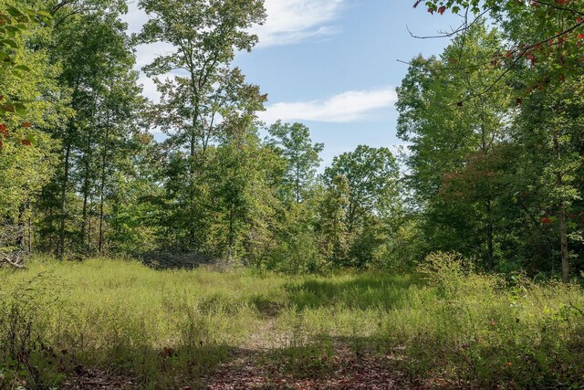 500 B Armstrong Ln, Monterey, TN 38574 - photo 62