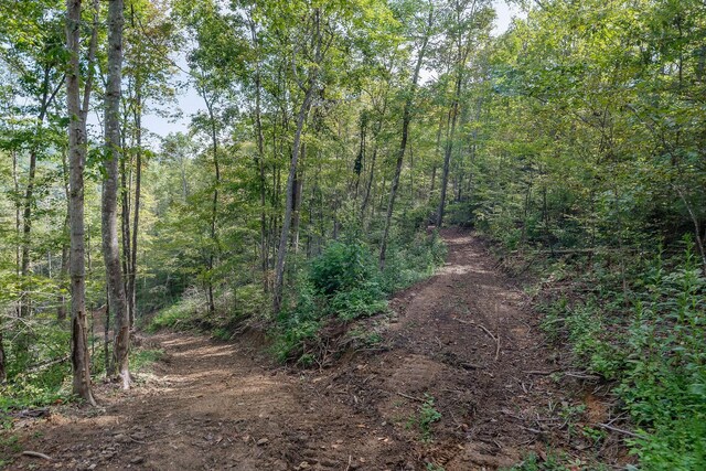 500 B Armstrong Ln, Monterey, TN 38574 - photo 72