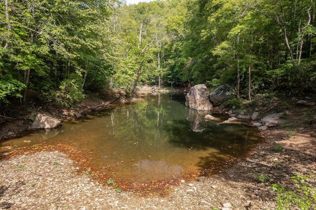 500 B Armstrong Ln, Monterey, TN 38574 - photo 46