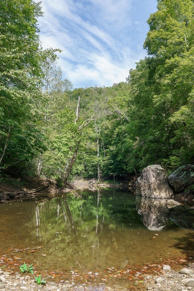 500 B Armstrong Ln, Monterey, TN 38574 - photo 80