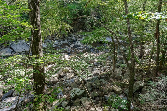 500 B Armstrong Ln, Monterey, TN 38574 - photo 58