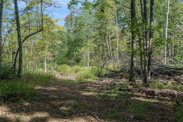 500 B Armstrong Ln, Monterey, TN 38574 - photo 63