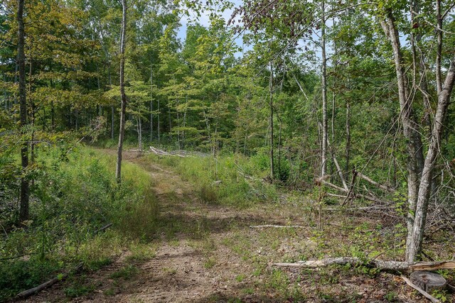 500 B Armstrong Ln, Monterey, TN 38574 - photo 64