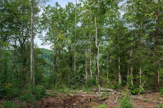 500 B Armstrong Ln, Monterey, TN 38574 - photo 66