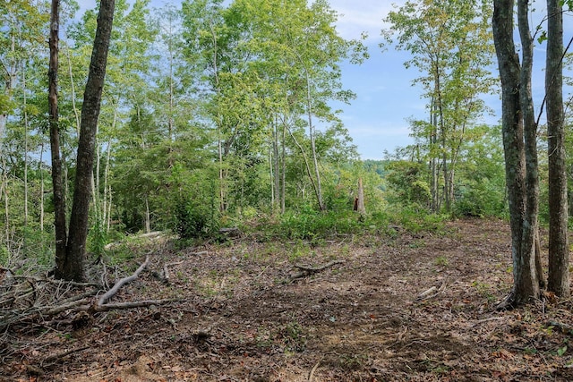 500 B Armstrong Ln, Monterey, TN 38574 - photo 65