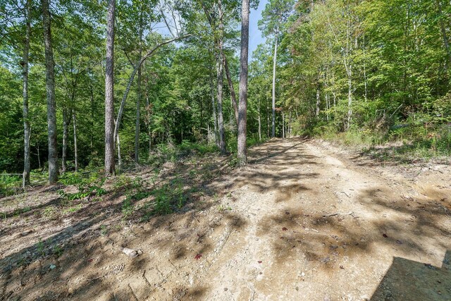 500 B Armstrong Ln, Monterey, TN 38574 - photo 54