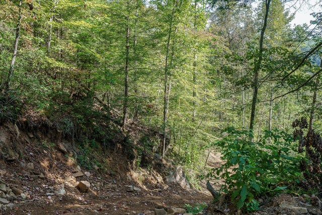 500 B Armstrong Ln, Monterey, TN 38574 - photo 56