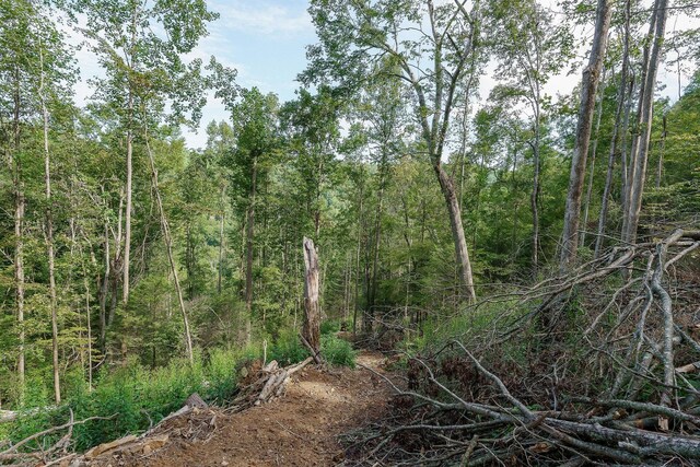 500 B Armstrong Ln, Monterey, TN 38574 - photo 75