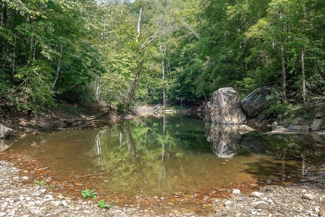 500 B Armstrong Ln, Monterey, TN 38574 - photo 79