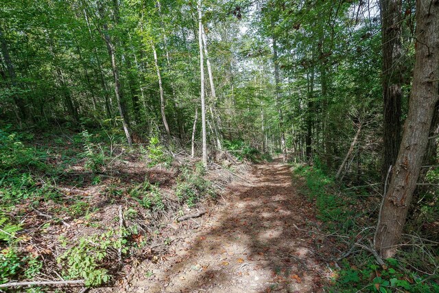 500 B Armstrong Ln, Monterey, TN 38574 - photo 71