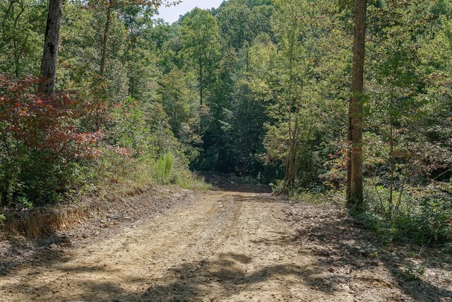 500 B Armstrong Ln, Monterey, TN 38574 - photo 55