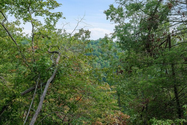 500 B Armstrong Ln, Monterey, TN 38574 - photo 67